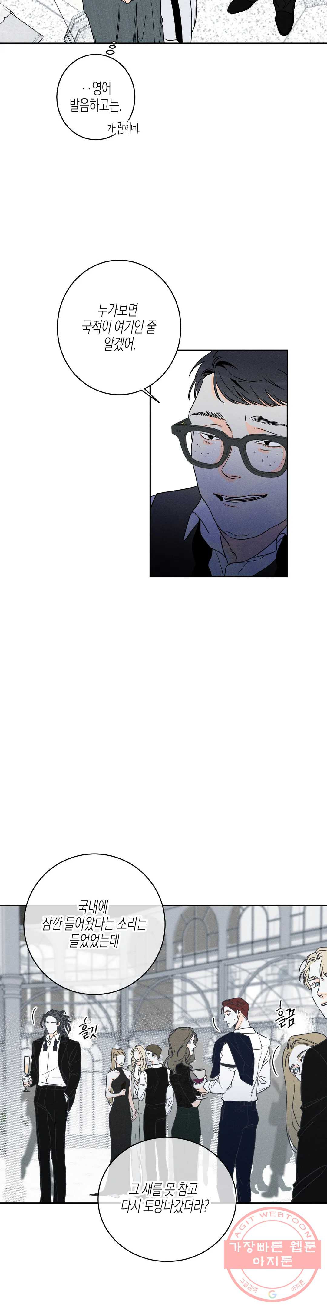 1638156776174magodxyt23g.jpeg