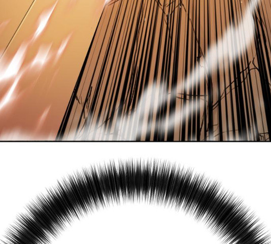 163605960179021hqadzquvv.jpeg