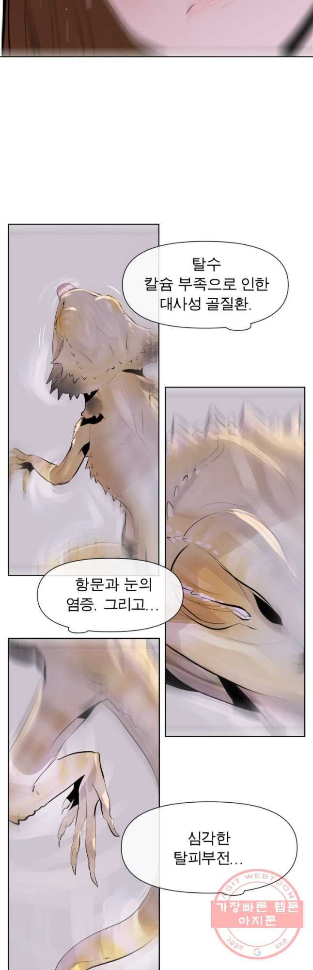 164031735330097wpraj0eed.jpeg