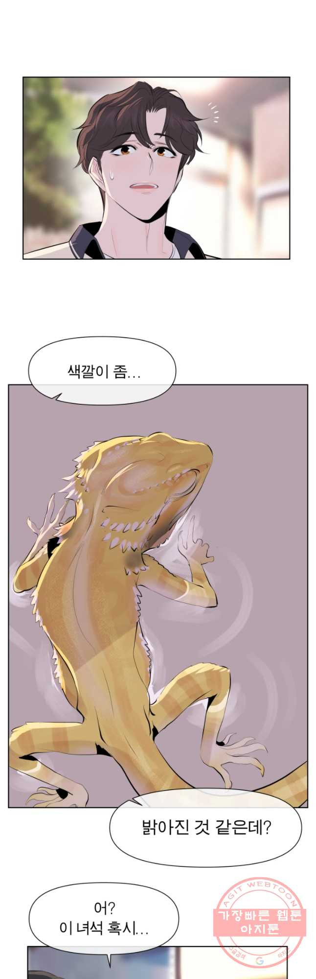1640317353535ptopkg0kted.jpeg