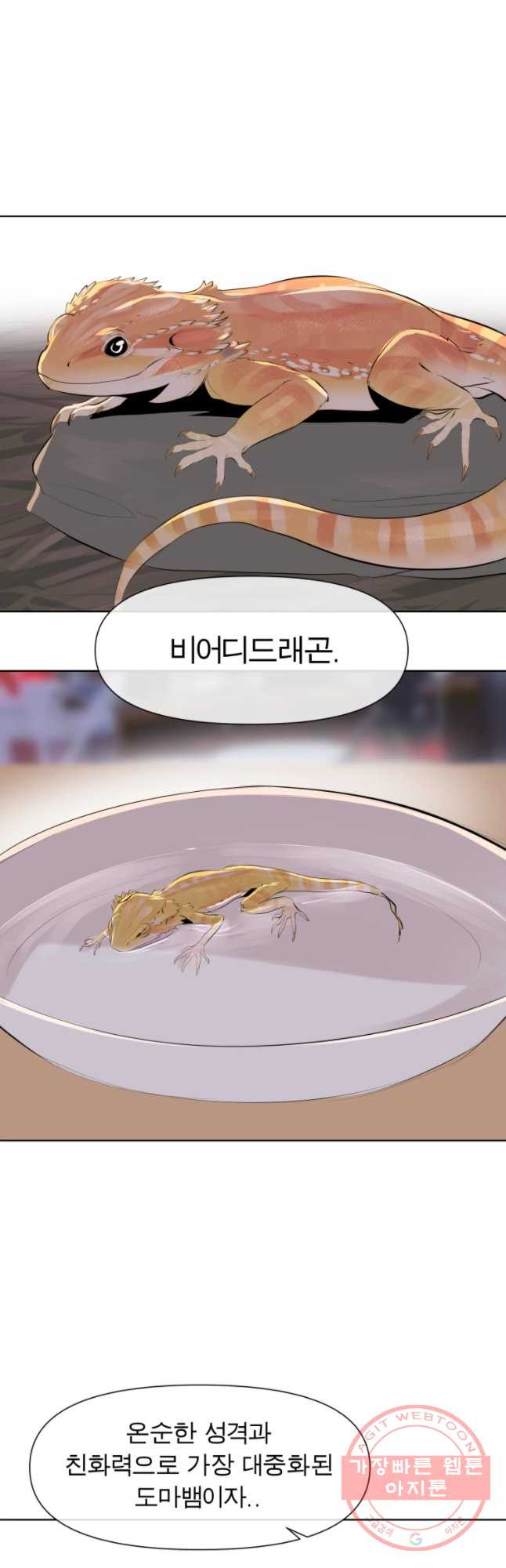 164031735378518ecqwznpau.jpeg