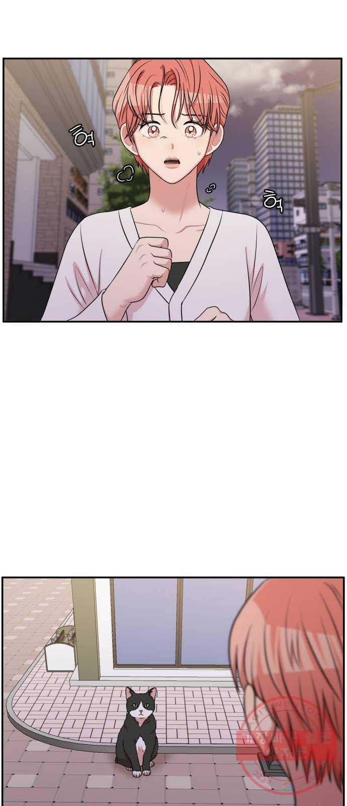1640404373492xgz860j56vk.jpeg