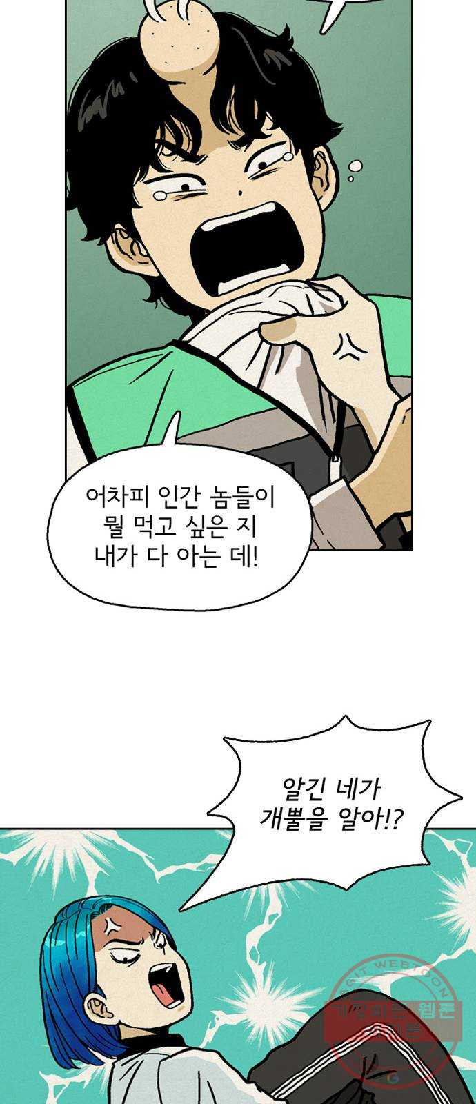1640404395204wbc15rdf51.jpeg
