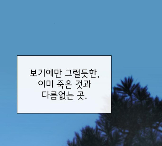 1640732783260e9aclwfkh99.jpeg