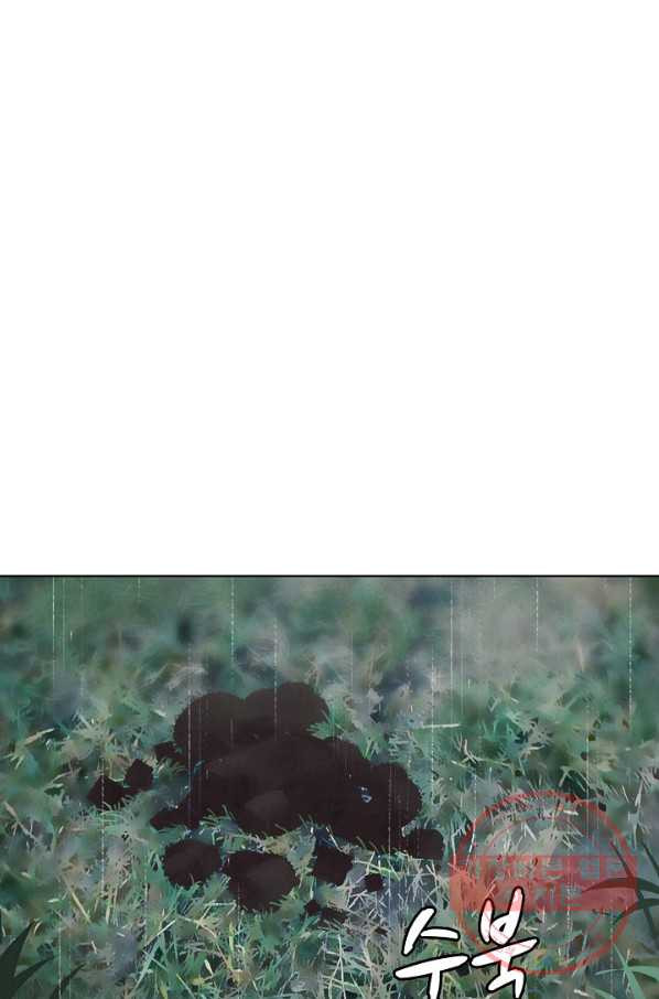 1638516572274z5bwp3yz6tq.jpeg