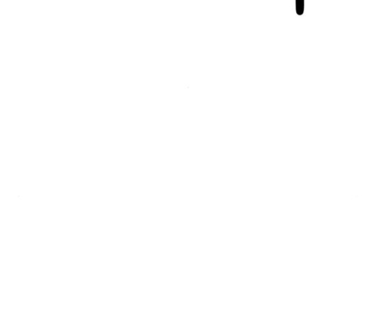 1632188953949t0hbpvtgnj.jpeg