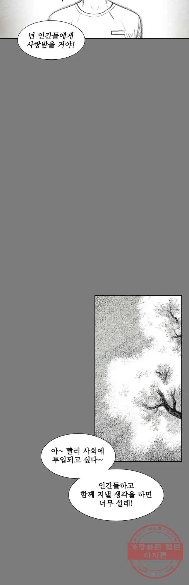 16322739586993p2tsd93d6j.jpeg