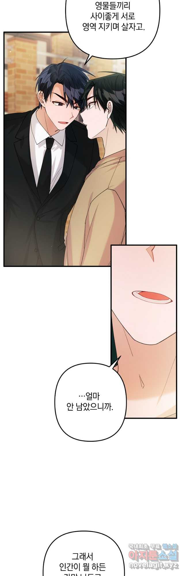 1667588366570aycrnl0nwu5.jpeg