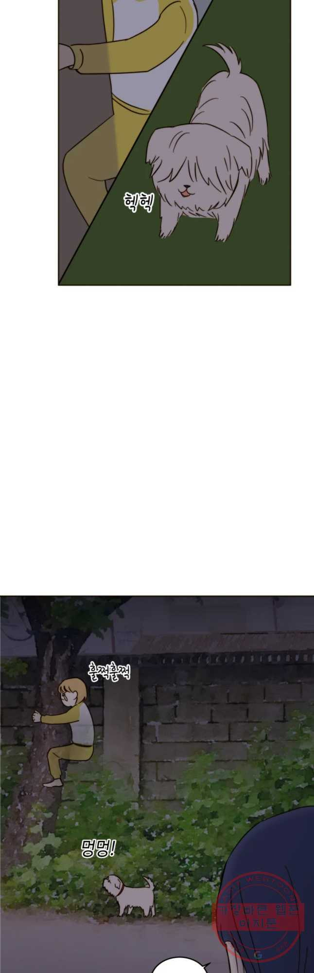 16455575073332j2zela1fyy.jpeg