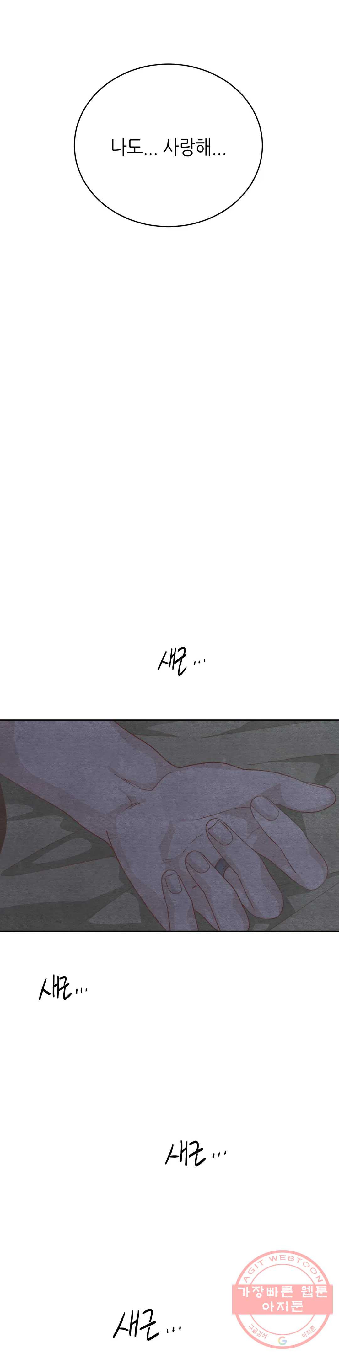 16472269514447x35dzypdrj.jpeg