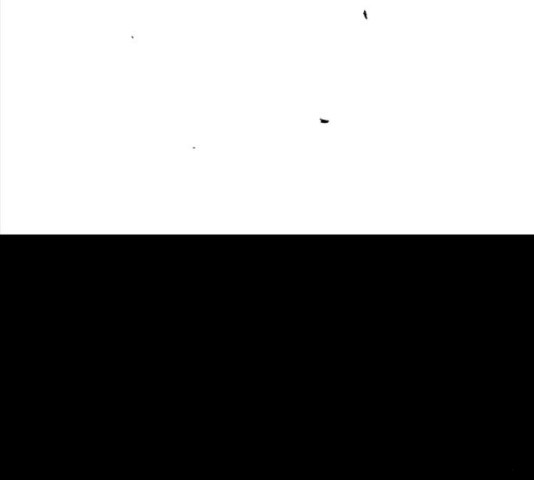 16521232420181z12kmvjqzl.jpeg