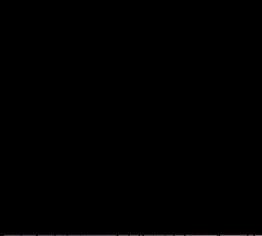 16521231394000d6vtclpvjv.jpeg