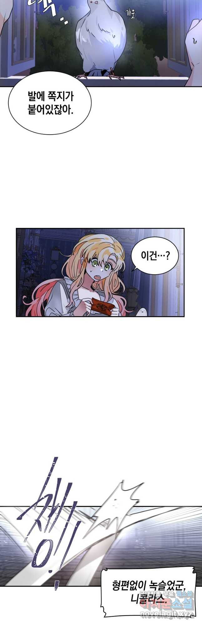 1674524263789potmciuv8vn.jpeg