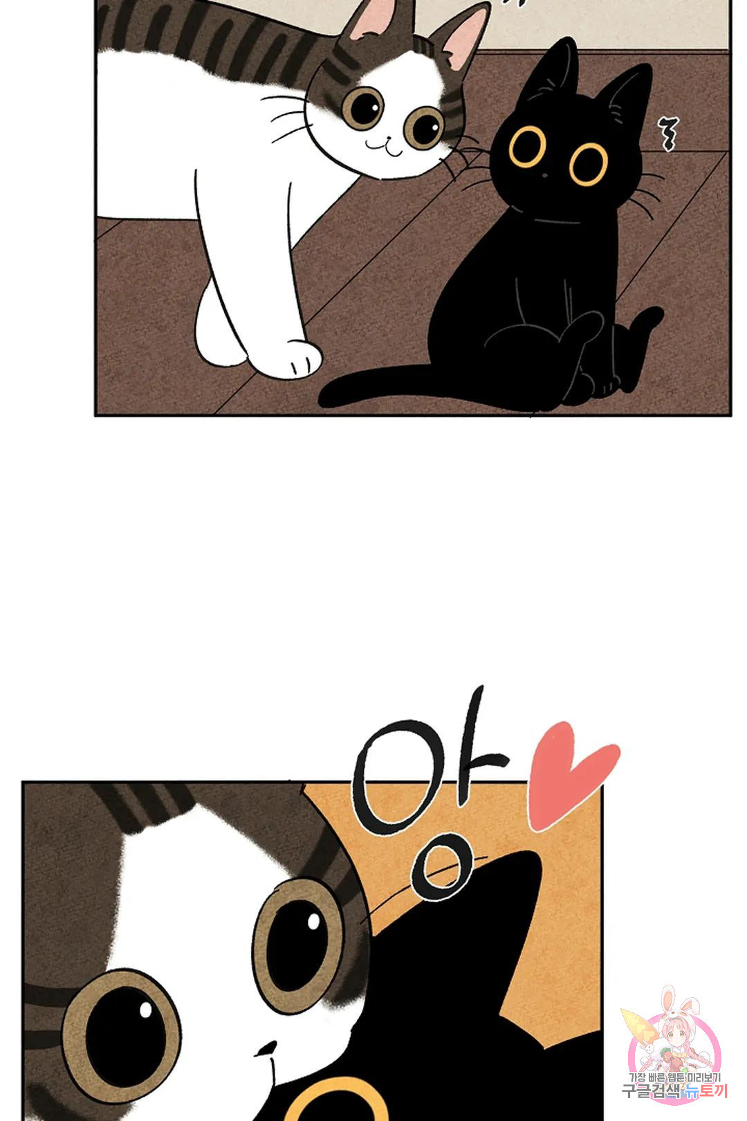 1679082057755e1z11cowvy.jpeg