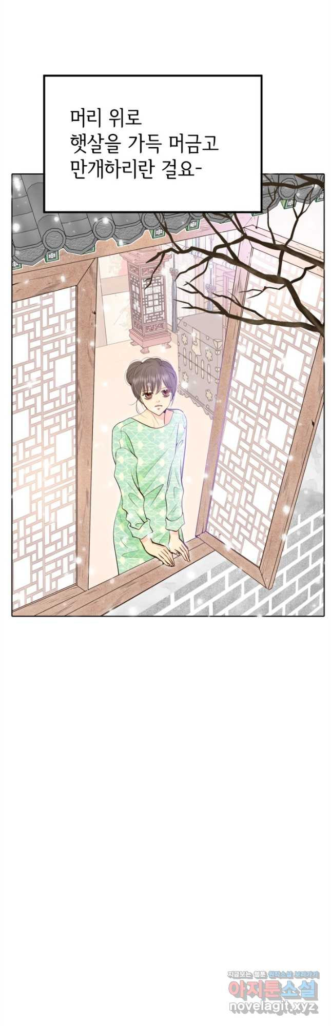 16810933699657zh524l96y9.jpeg