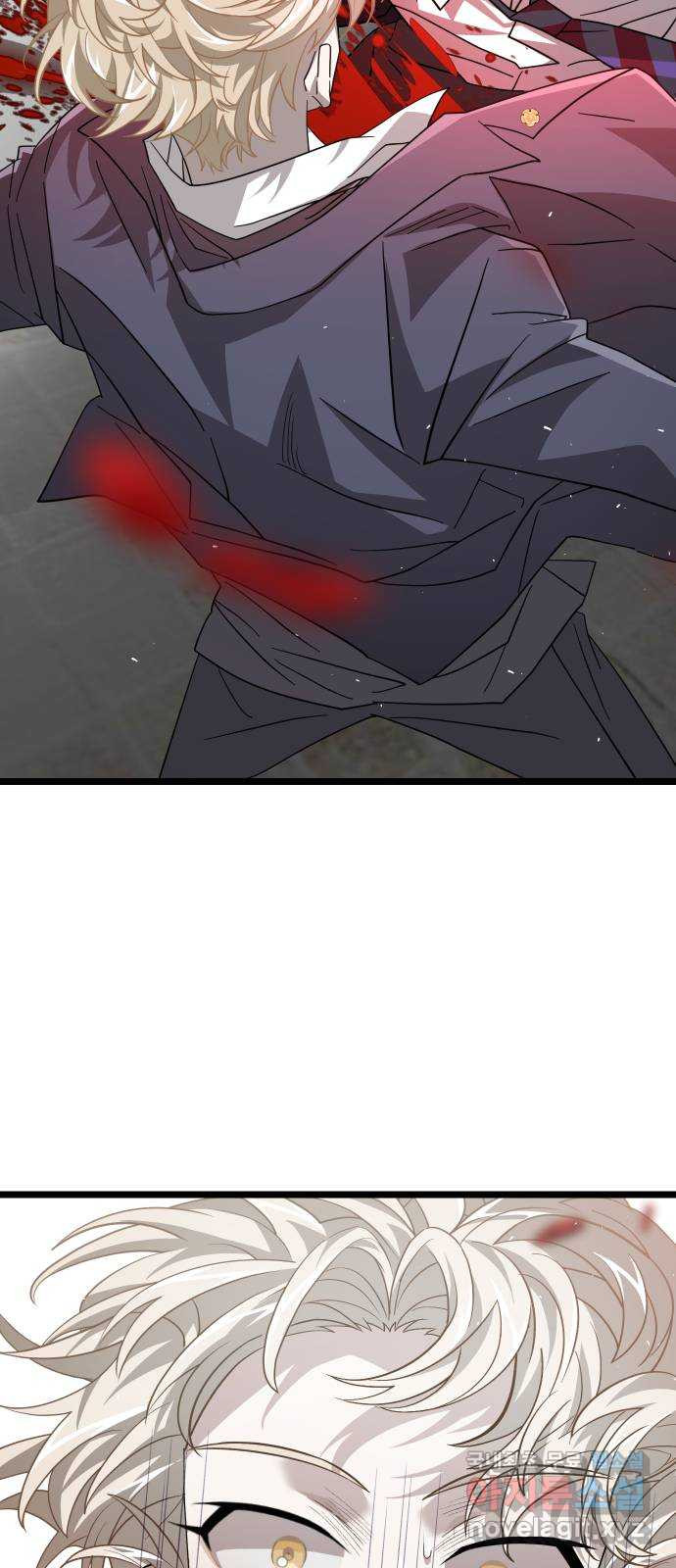1681613643761qqaolvuh3gk.jpeg
