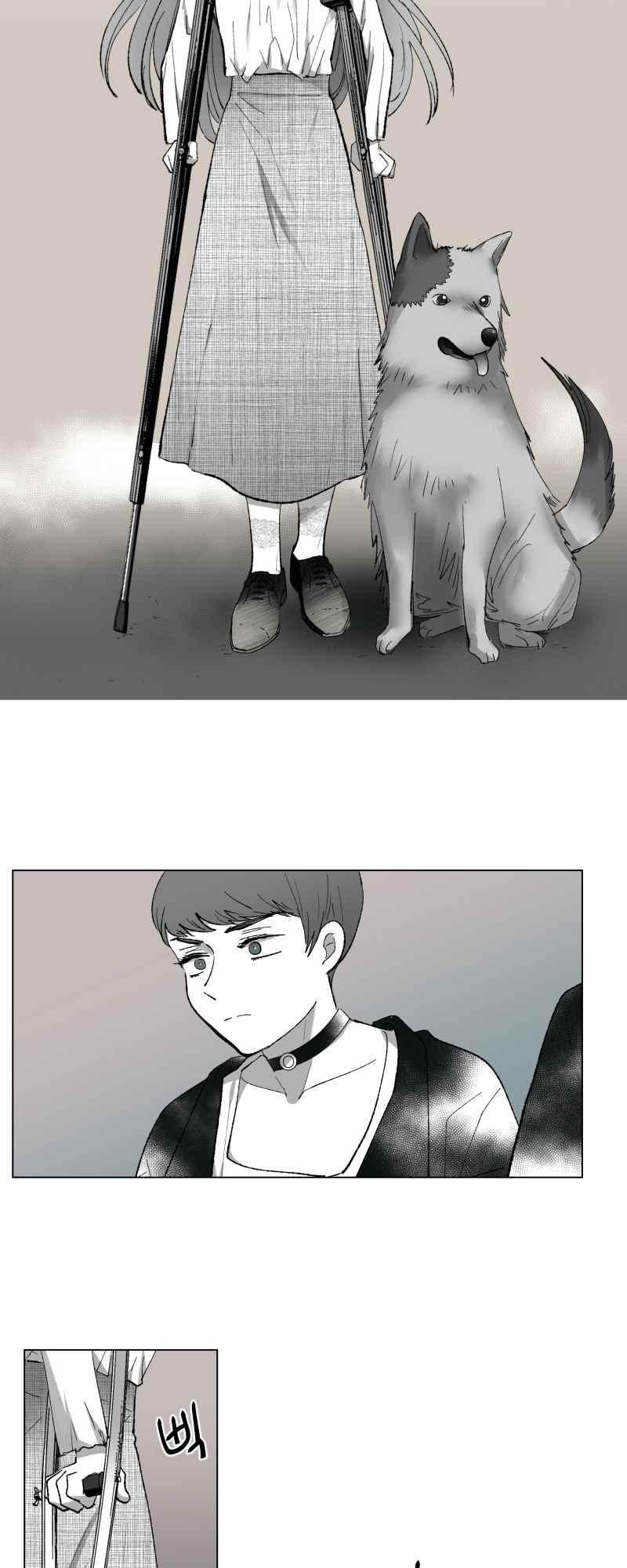 15654013365094.jpeg