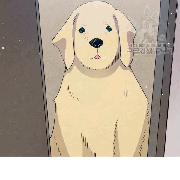 16097644228628.jpeg