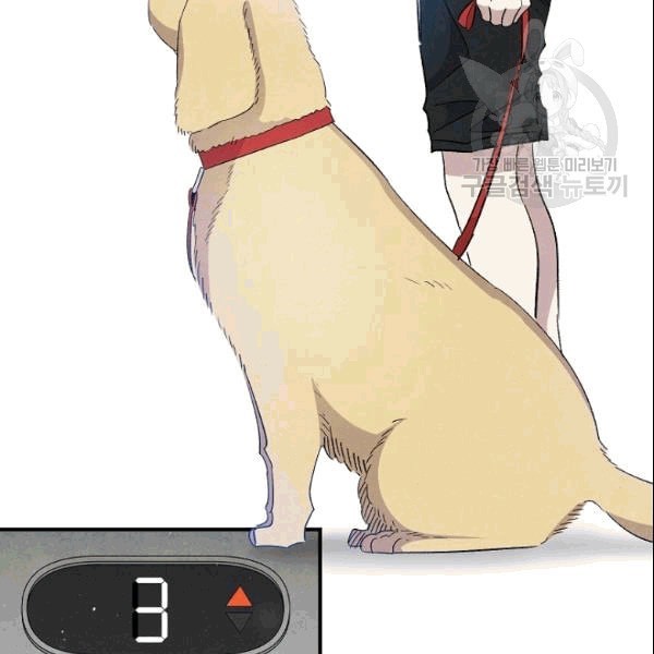 16097644387178.jpeg